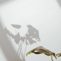 Progetto senza titolo (5)